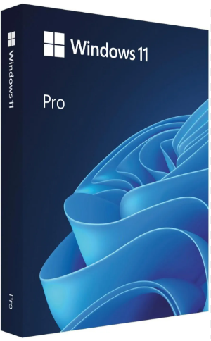 Windows 11 Pro