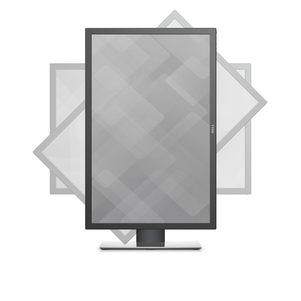 Dell UltraSharp UP3017 WQXGA