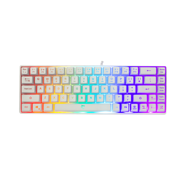 Klawiatura przewodowa WhiteShark GK-2201 Ronin biała US