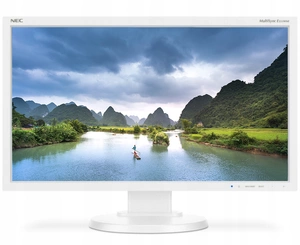 NEC EA243WM Monitor 24,1" 1920×1200 TN PIVOT czujnik obecności USB Hub