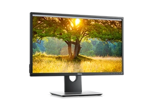 Dell P2417H / Klasa A-