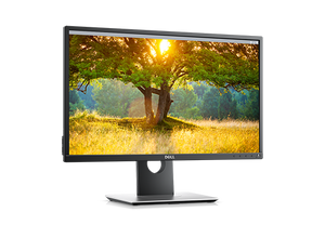 Dell P2417H / Klasa B