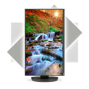NEC MultiSync EA271F z głośnikami / czarny