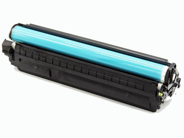Toner DDPrint CF244A HP 44A Premium Black do HP M15, M17, M28, M31, 2000 stron, nowy chip i OPC
