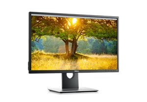 Monitor Dell P2417H – 24″ IPS FHD, smukłe ramki - Poleasingowy