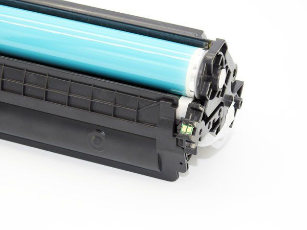 Toner DDPrint CF244A HP 44A Premium Black do HP M15, M17, M28, M31, 2000 stron, nowy chip i OPC